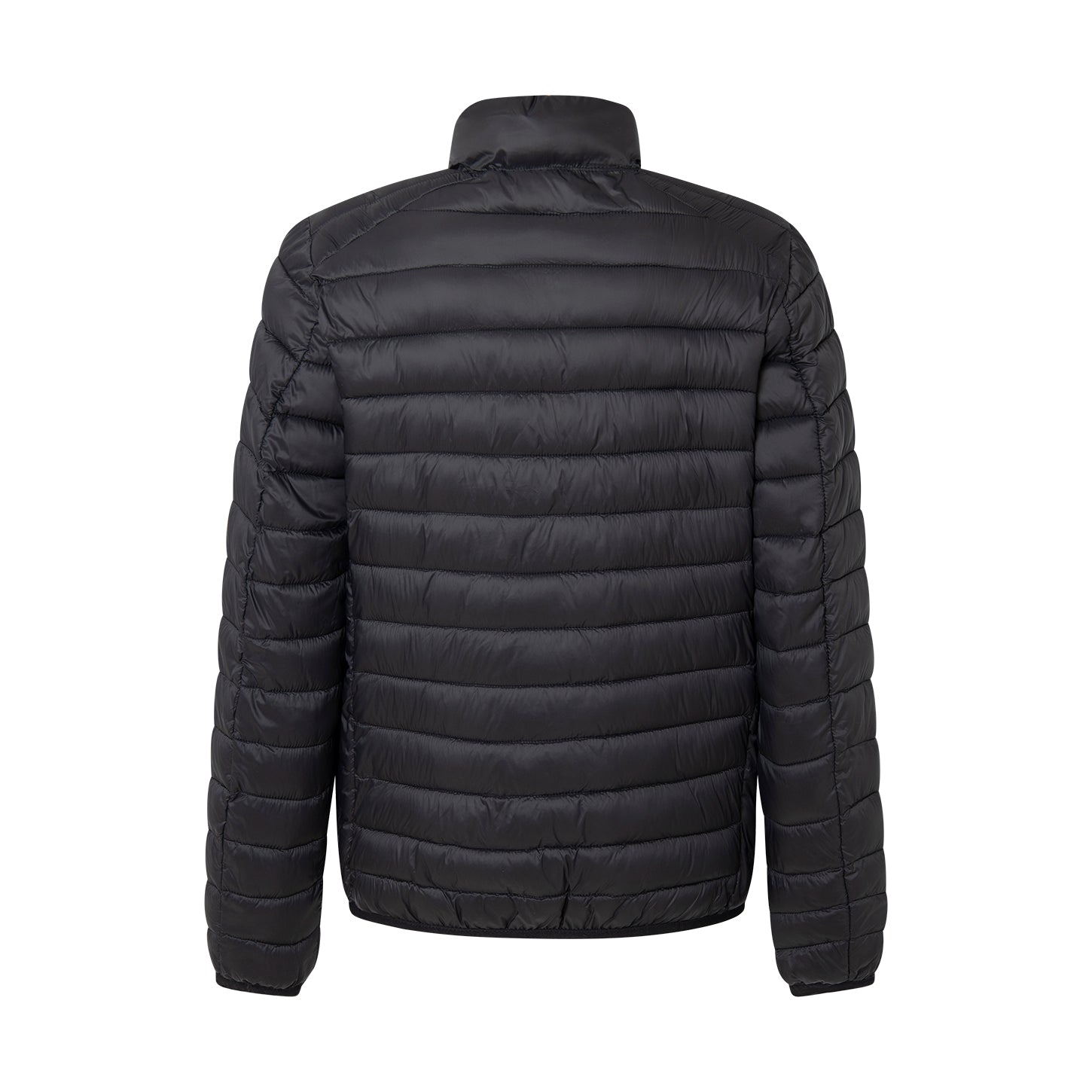 CHAQUETA JACK BLACK - Polo Hills