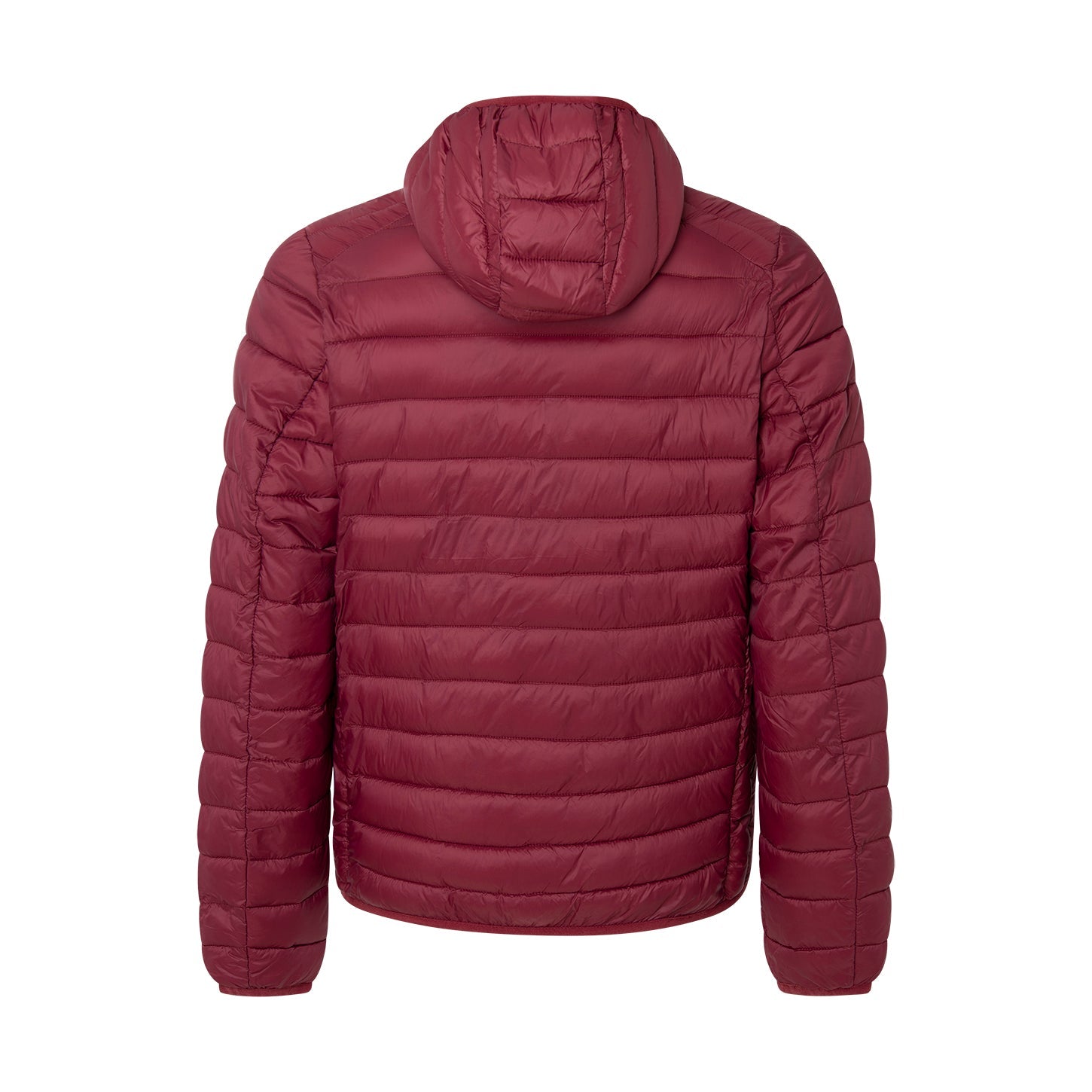 CHAQUETA JACKHOOD BURGUNDY - Polo Hills